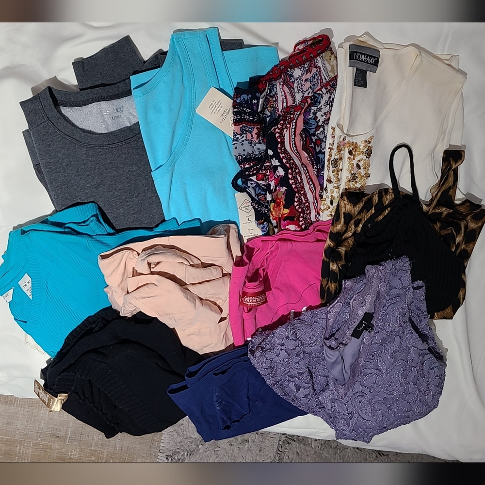 Bundle of Women's Tops 11 items in Blue, Pink, and Purple Size L